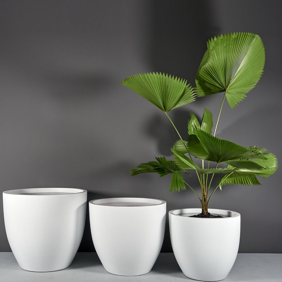69230.Set_.MBW_.Wannsee1.wplants