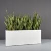 69367.60.MBW_.Tolga_.wplants
