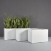 69367.Set_.MBW_.Tolga_.wplants