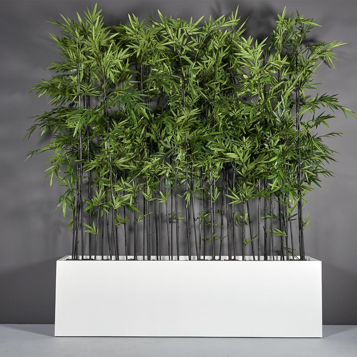 69381.100.MBW_.Hudson.wplants