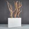 69410.48.MBW_.Delray.wdriftwood-1
