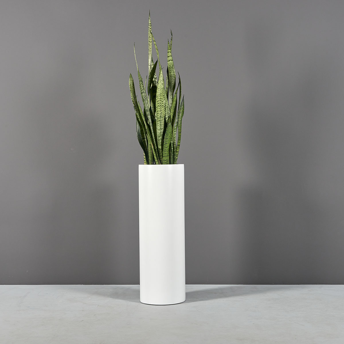 69607.36.MBW_.Corry_.Cylinder.wplants1