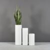 69607.Set_.MBW_.Corry_.Cylinders.wplants1-1