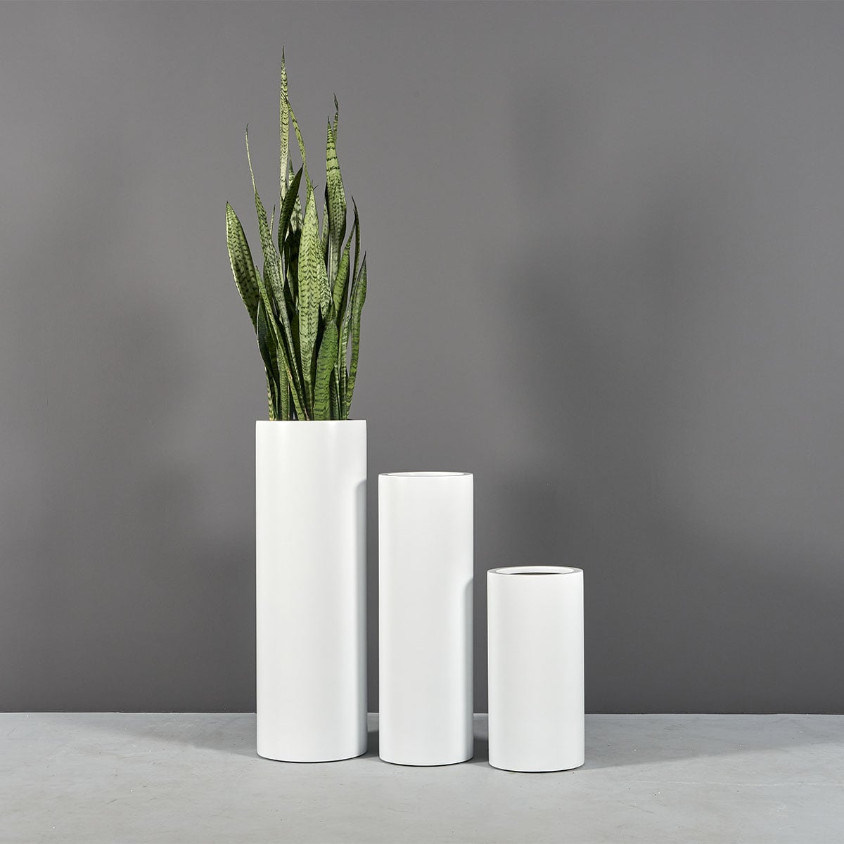 69607.Set_.MBW_.Corry_.Cylinders.wplants1-1