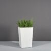 69615.30.MBW_.Amsterdam.wplants
