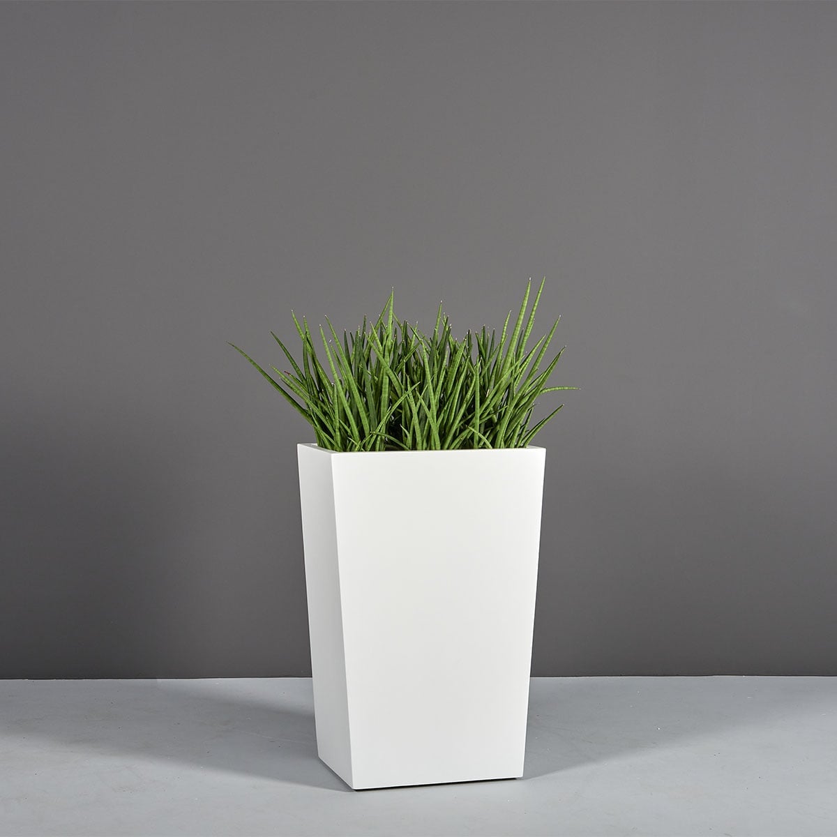 69615.30.MBW_.Amsterdam.wplants