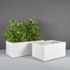 70125.Set_.MBW_.Torino1.wplants