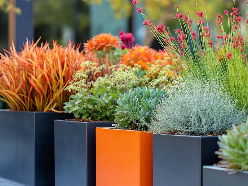 Grouping of various planters