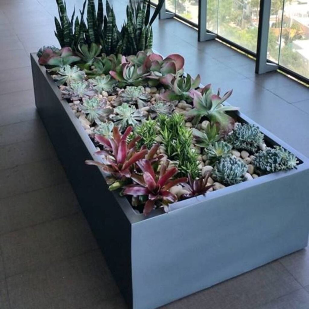 selenge extra wide large rectangle planter