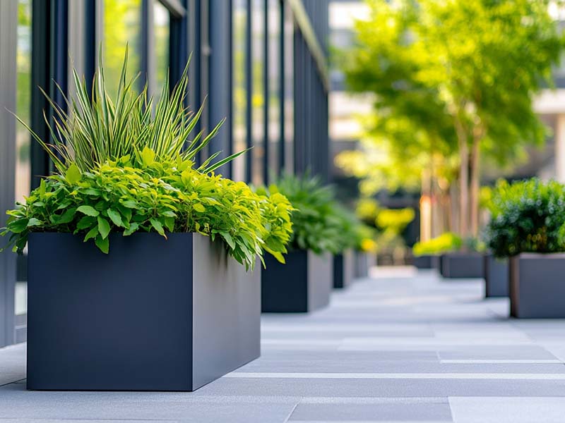 Planters in a commercial courtyard