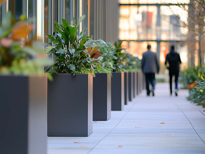 Planters lining a walkway