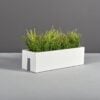 Plantguy00496