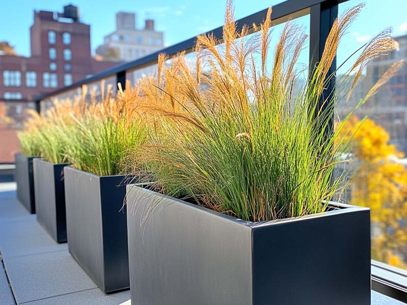 Rectangular planters along a wall