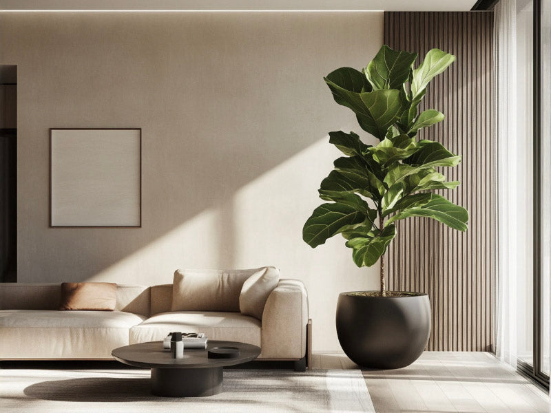 Statement planter in a modern living room